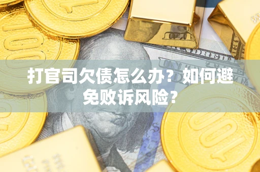 北京打官司欠债怎么办？如何避免败诉风险？