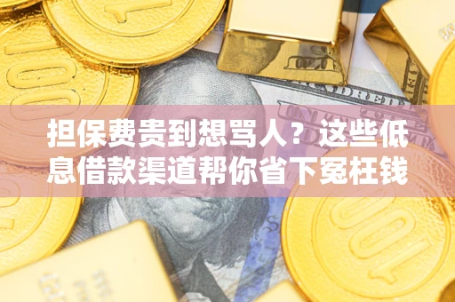 北京担保费贵到想骂人？这些低息借款渠道帮你省下冤枉钱