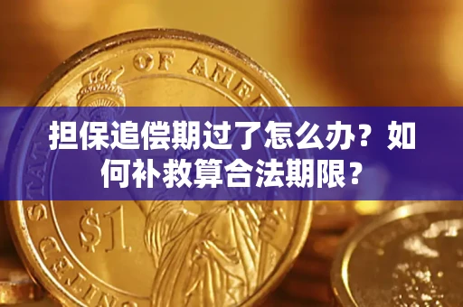 北京担保追偿期过了怎么办？如何补救算合法期限？