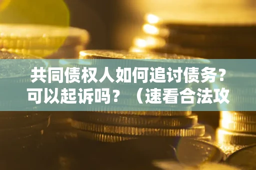 北京共同债权人如何追讨债务？可以起诉吗？（速看合法攻略）